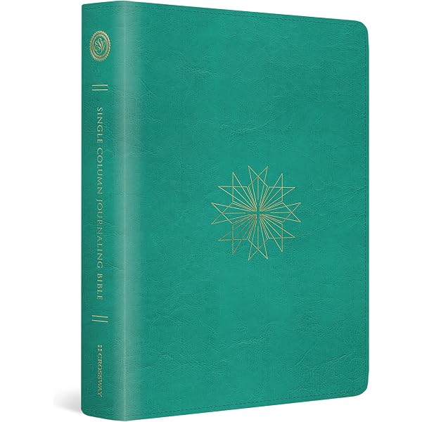 ESV Single Column Journaling Bible (TruTone, Teal, Resplendent